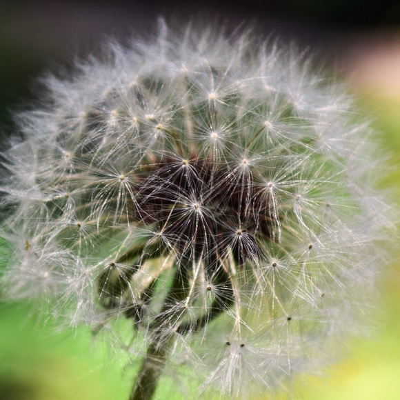 Come See The Beautiful Jewelry I Have Stashed Away... - Picture 4 of 4